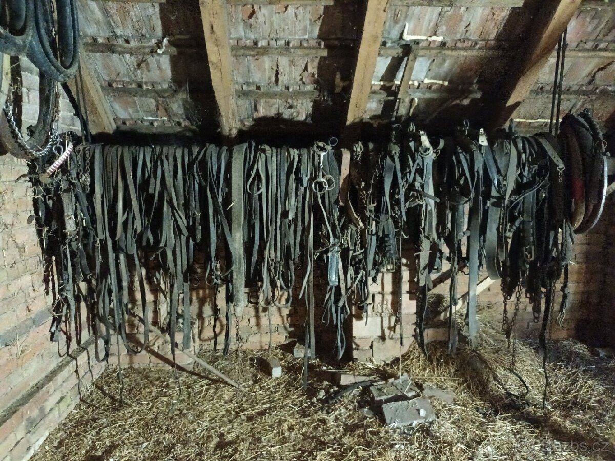 Koňské postroje.