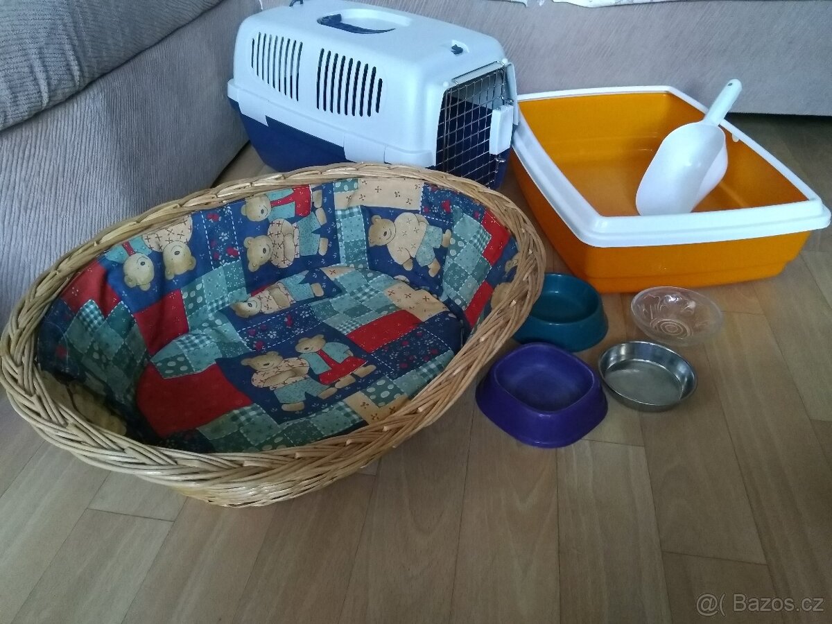Základní domácí výbava pro kočky