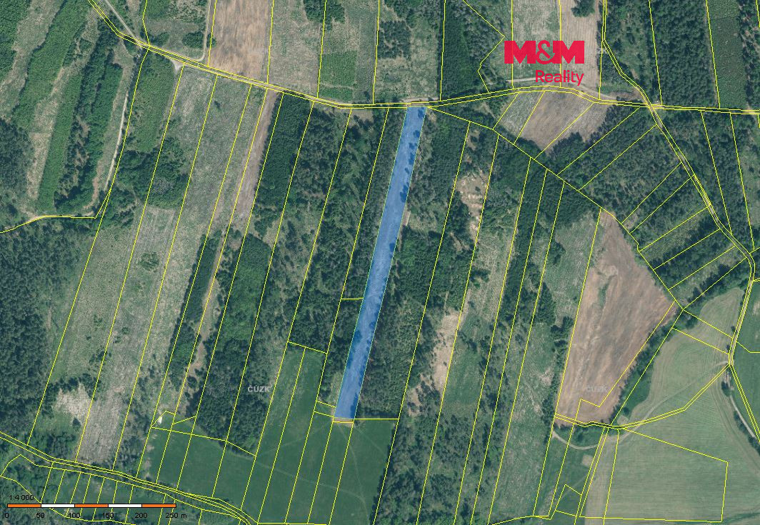 Prodej lesa, 13770 m², Jetětice