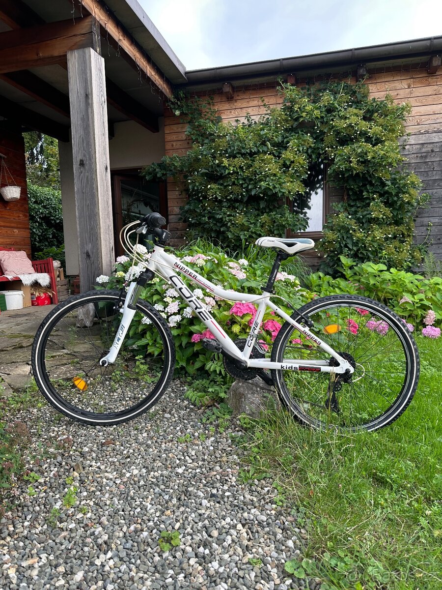 Dětské kolo NIPPER CORE 24”