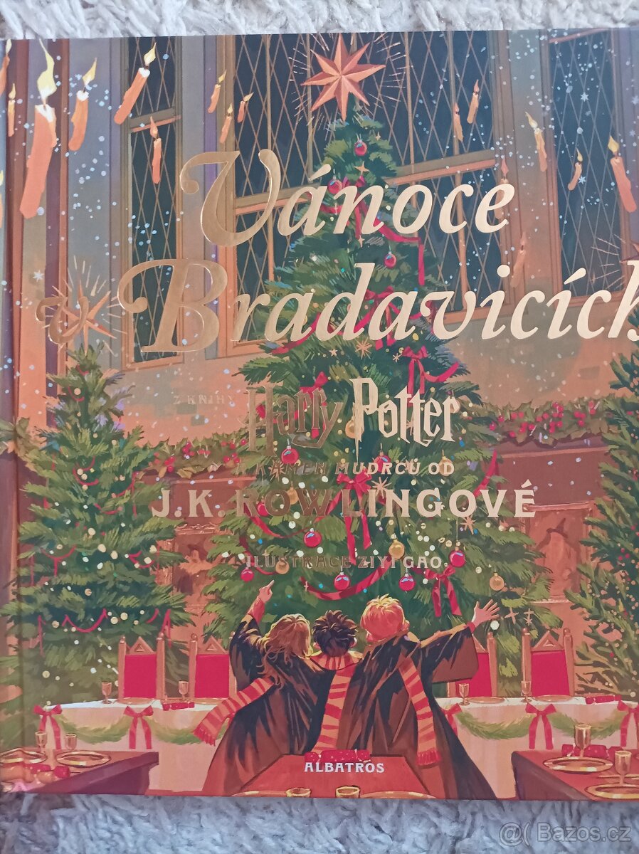 Vánoce v Bradavicích