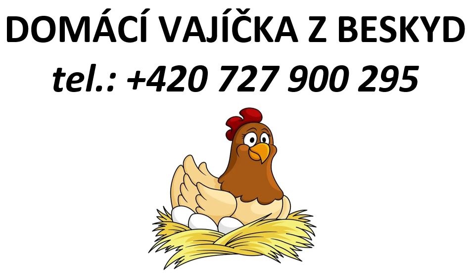 domácí vajíčka