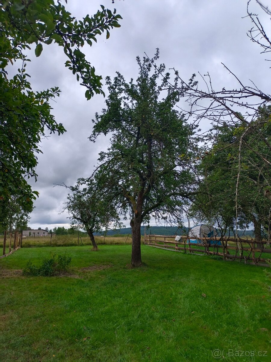 Pronájem ZAHRADY Sad jabloní Strašice u Rokycan