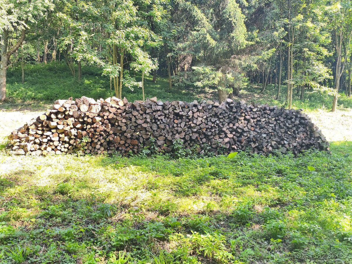 Palivové dřevo