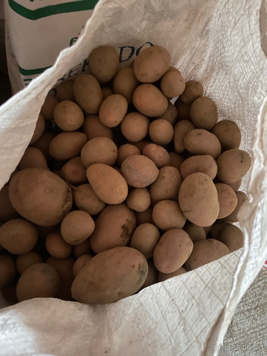 Prodám krmné brambory (odpad)
