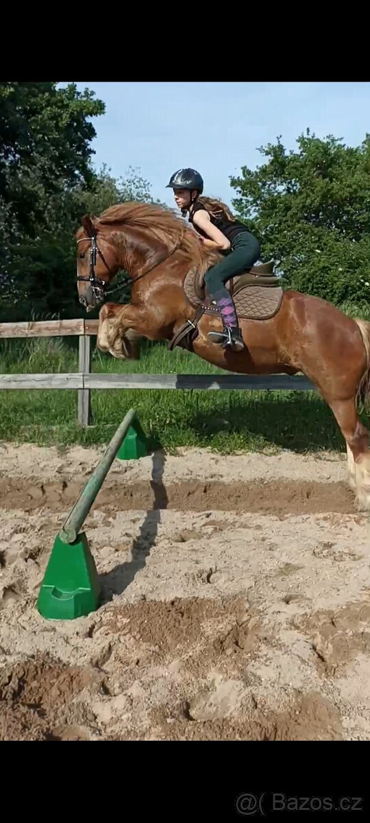 SD EVAN IRSKÝ COB 6L