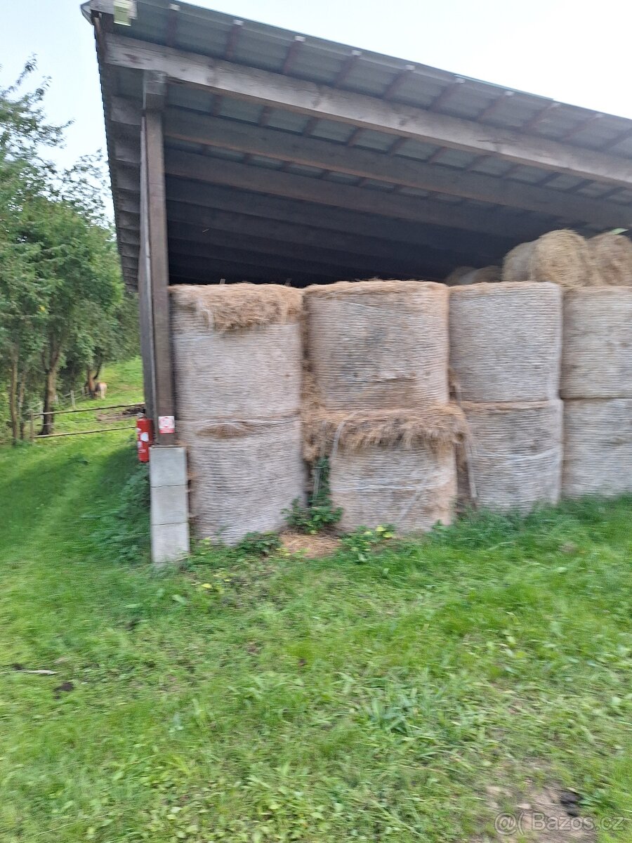 Prodám seno  ,senážní balíky
