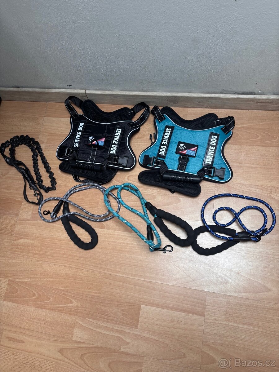 Obojek - vodítko - postroj