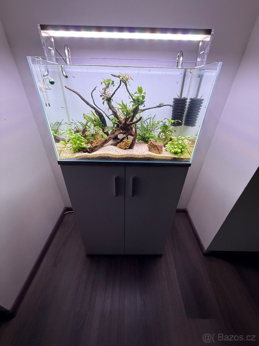 Akvárium s vybavením