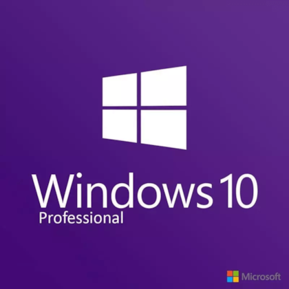Windows 10/11 licence