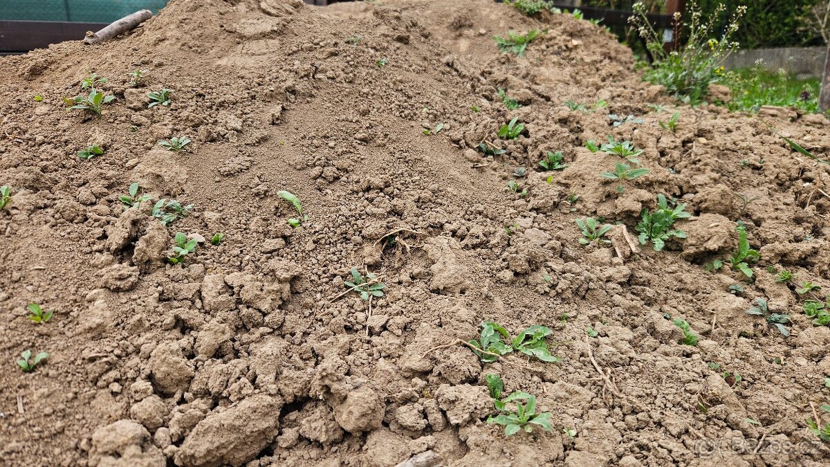 Zemina, hlína, za odvoz