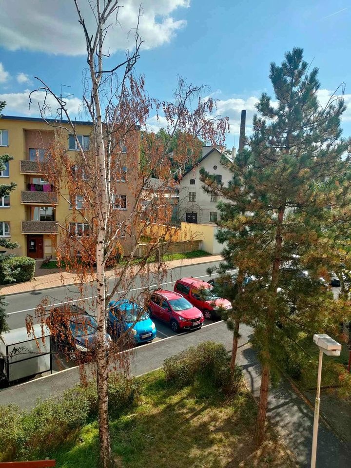 Pronájem bytu 2+1 64 m², Žatec ulice Svatováclavská