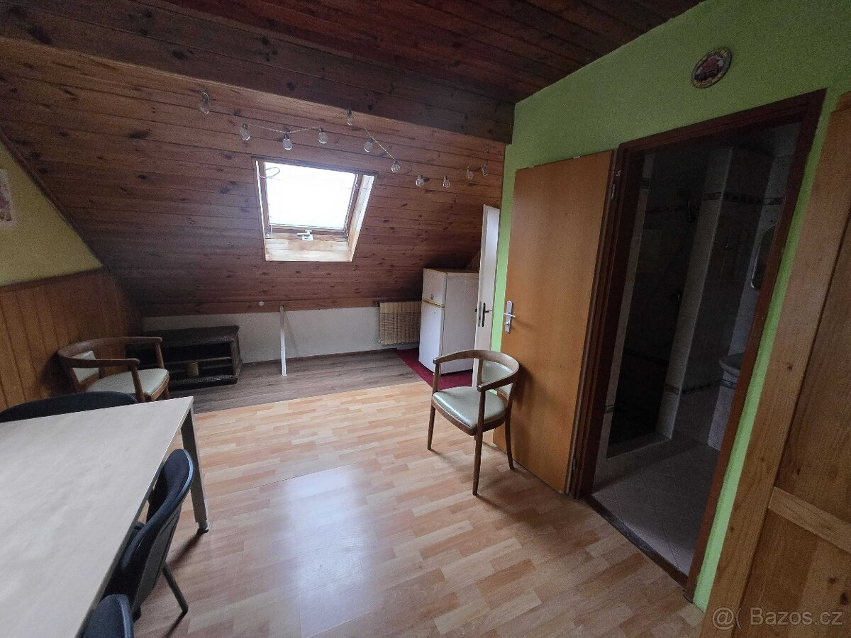 Pronájem 2 pokoje s vlastním sociálním 30m2 Praha 4-Rosečská