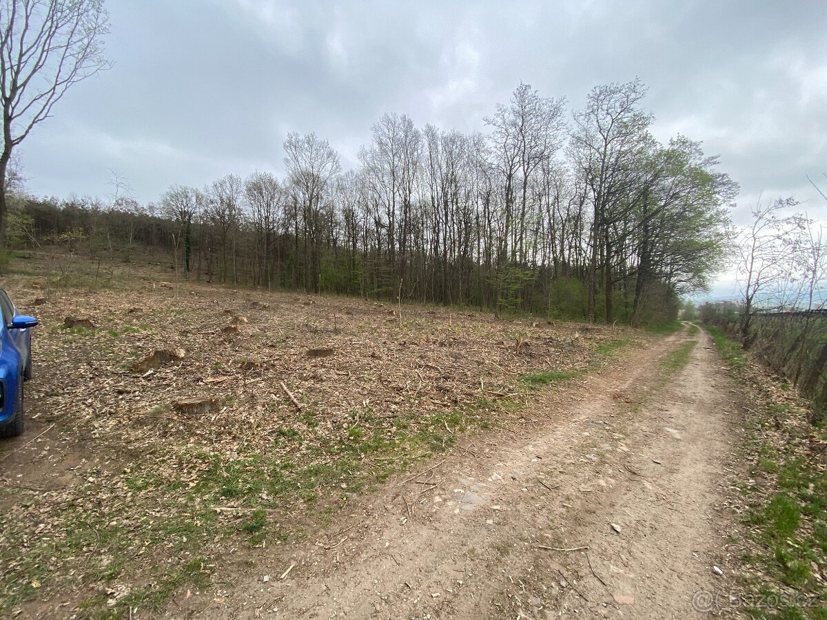 Lesní pozemek Bílé Podolí