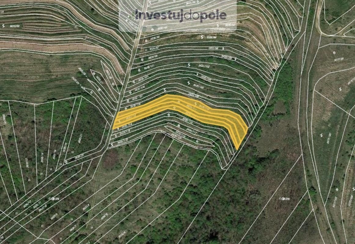Prodej sadu / vinice 1 606 m², Hustopeče, ev.č. 2025-06-12-2