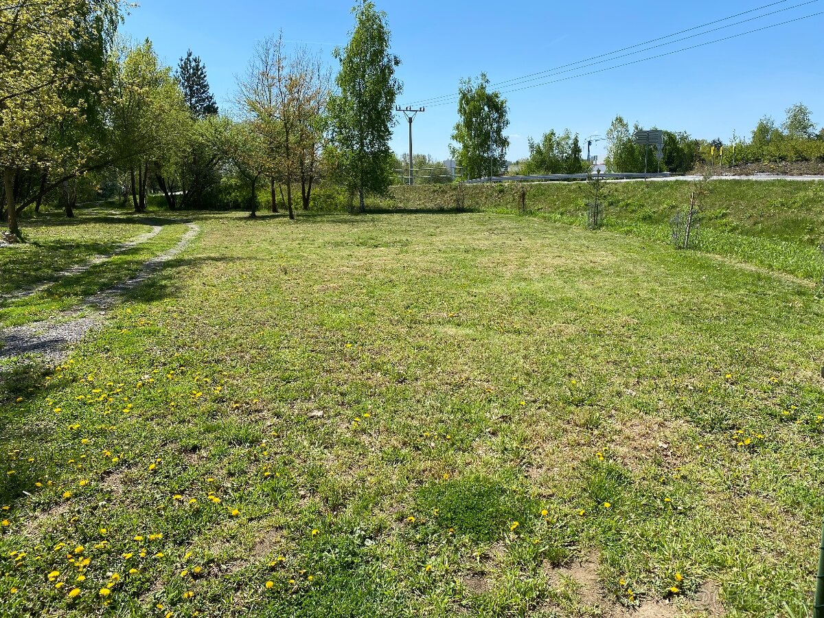 Pozemek louka - Veselí nad Lužnicí