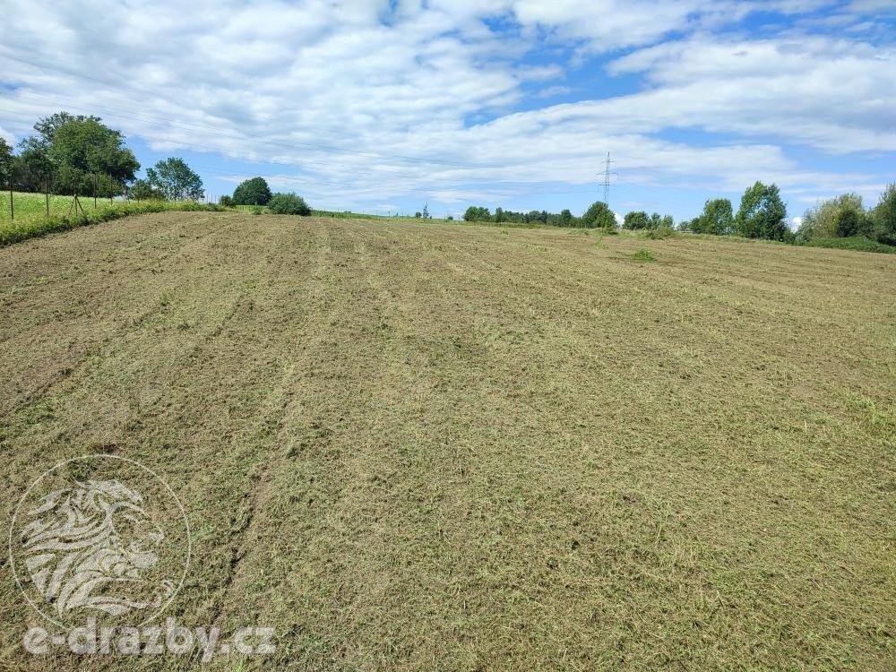 Pozemky pro výstavbu, zahrady, 11 054 m2, Bruzovice, okres F