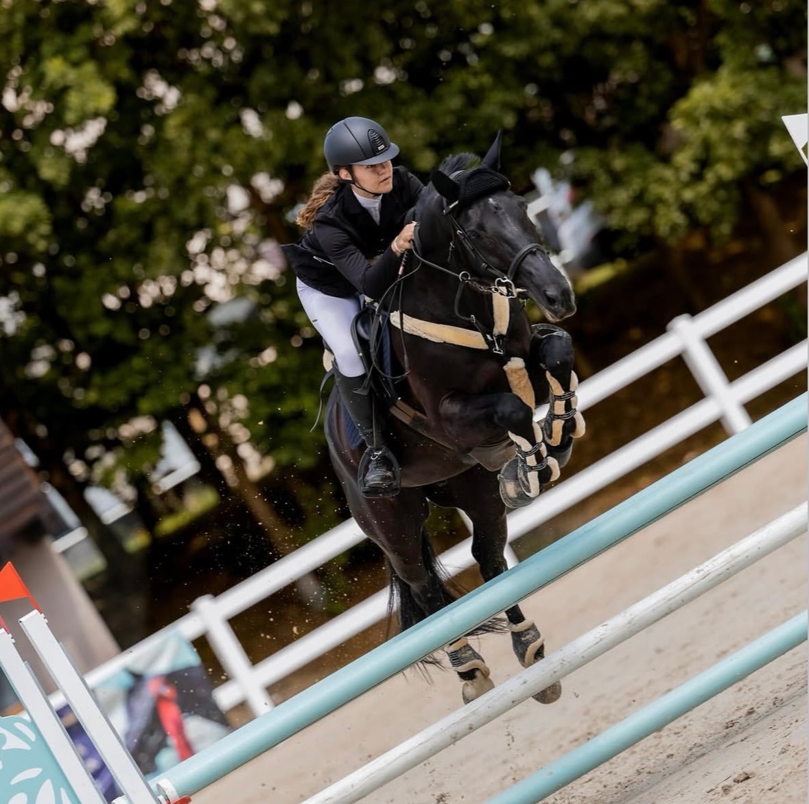 POLOVIČNÍ PRONÁJEM KONĚ