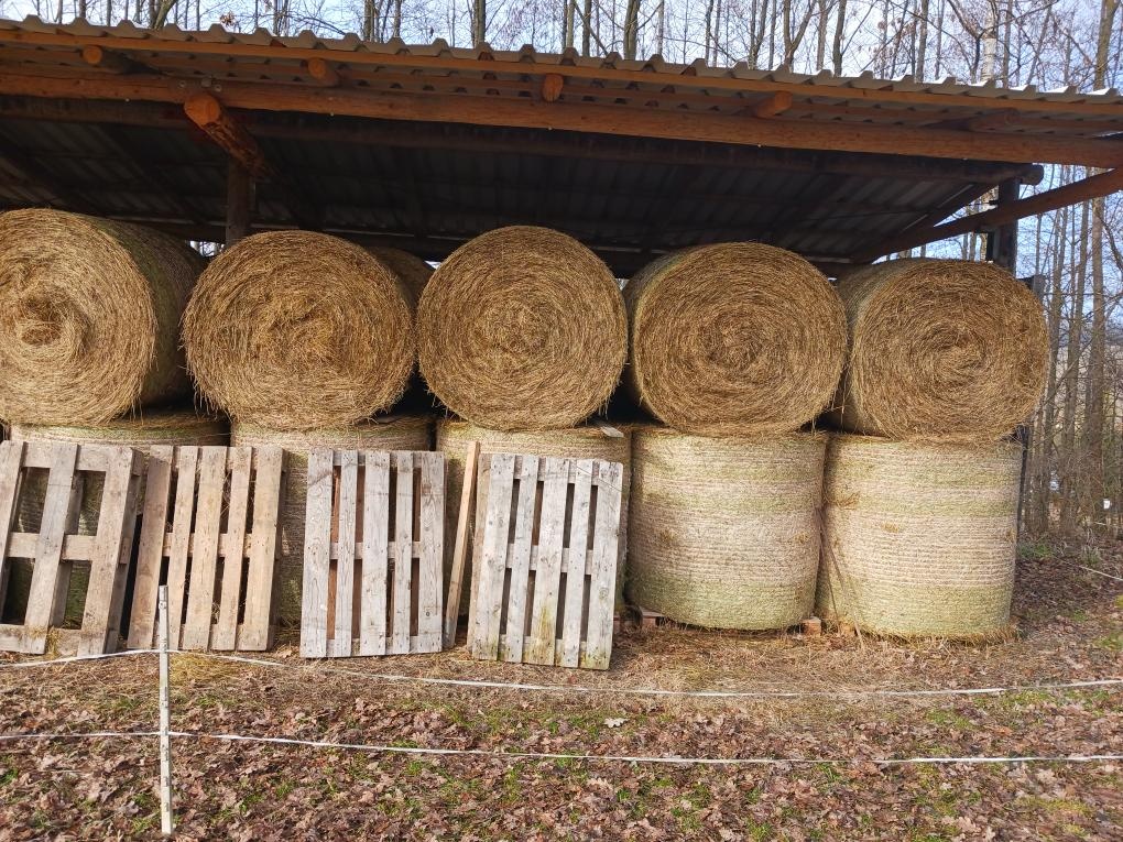 seno kulaté balíky