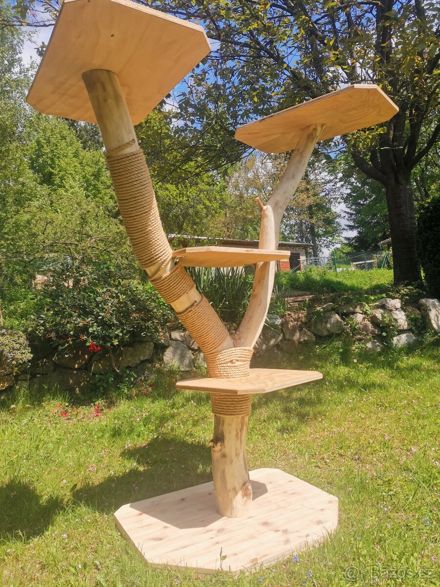 Kočičí strom