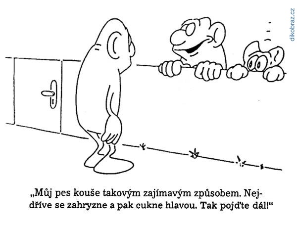 Pavel Kantorek koupim