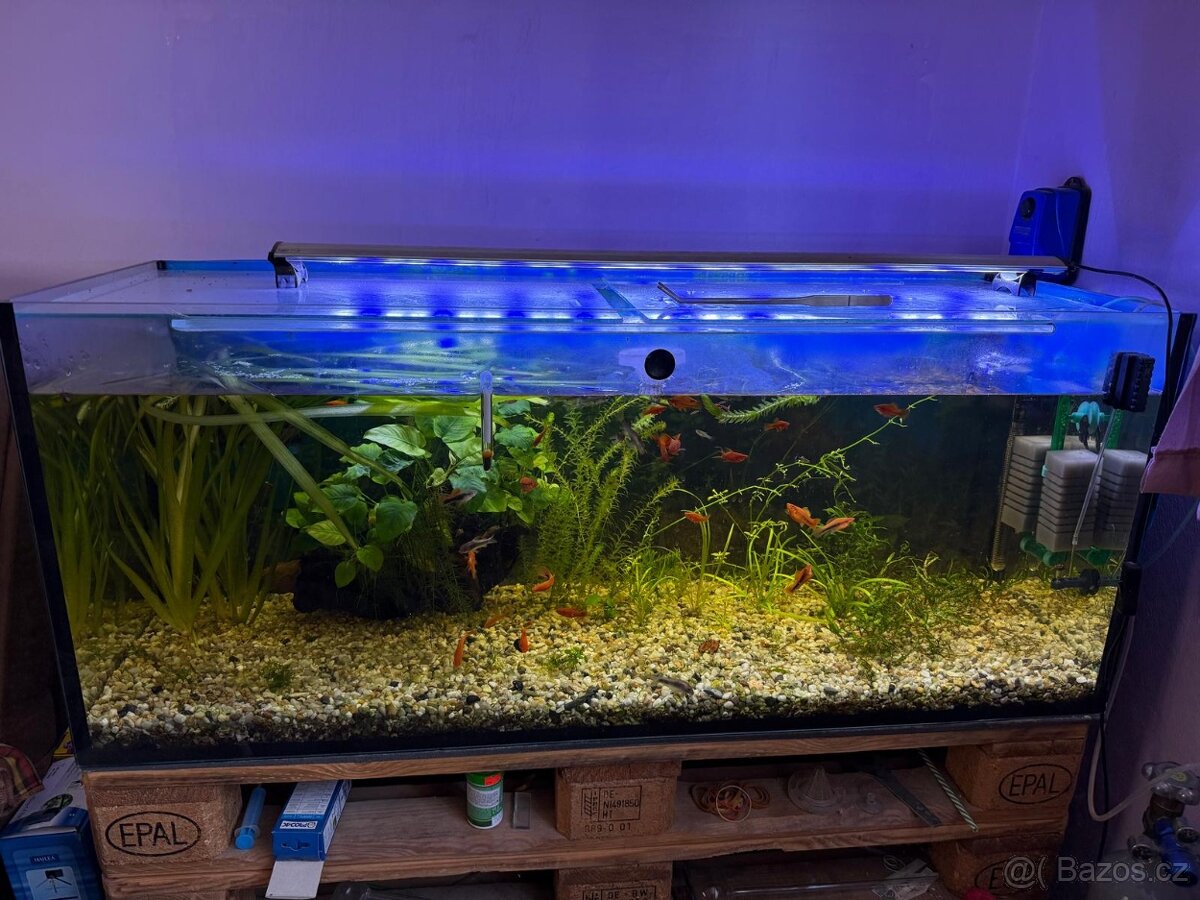 Akvarium 240l