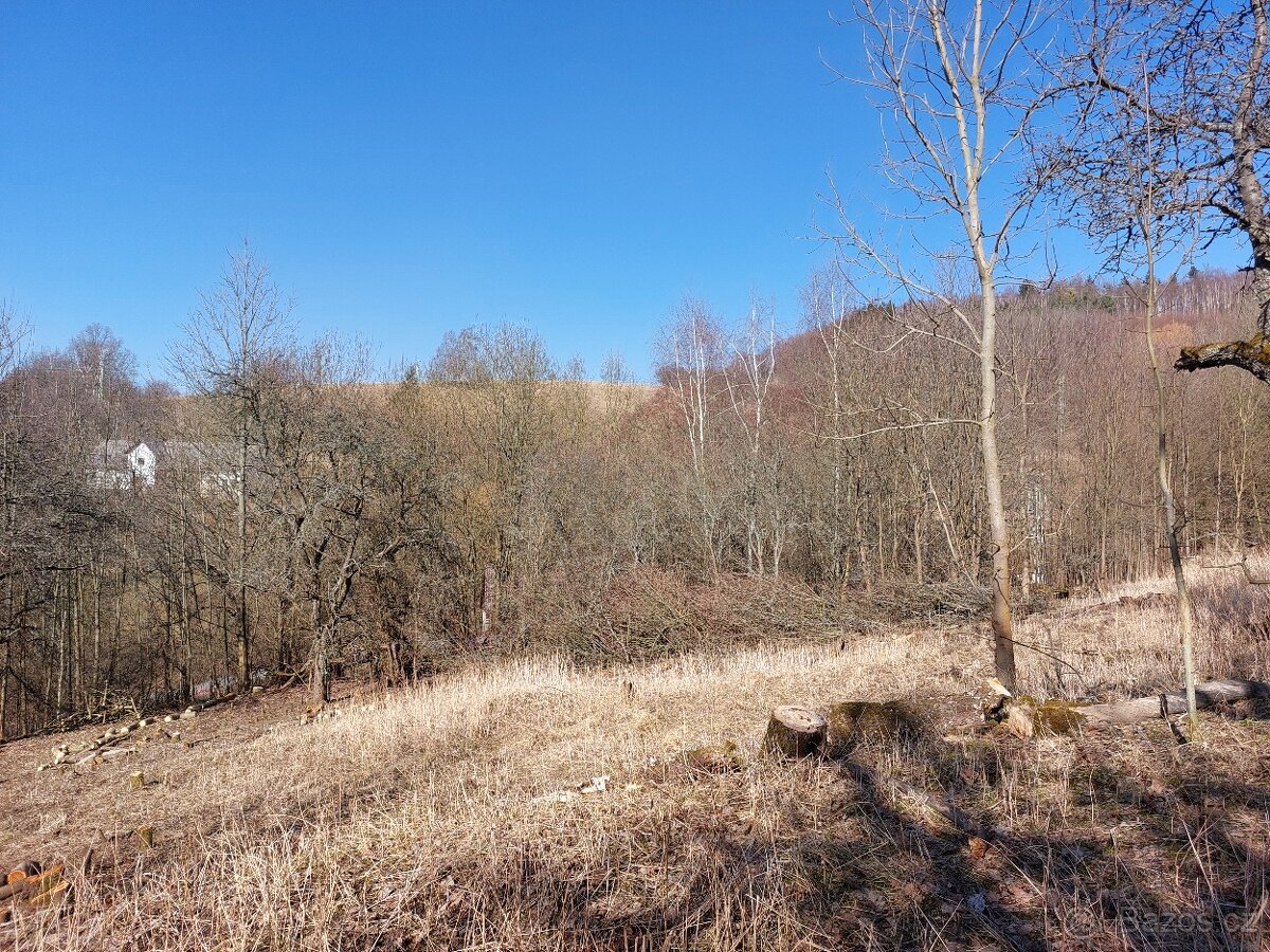 Prodej stavebního pozemku v k.ú. Bezděkov u Trutnova