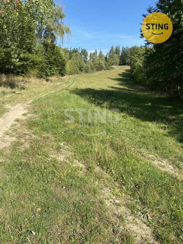Louka na prodej, 8429m2, Vacetín u Pavlova, 133551