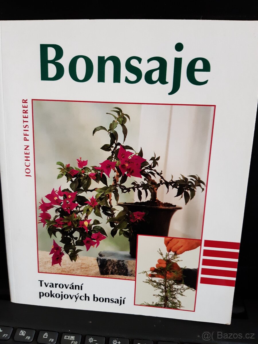 Bonsaje
