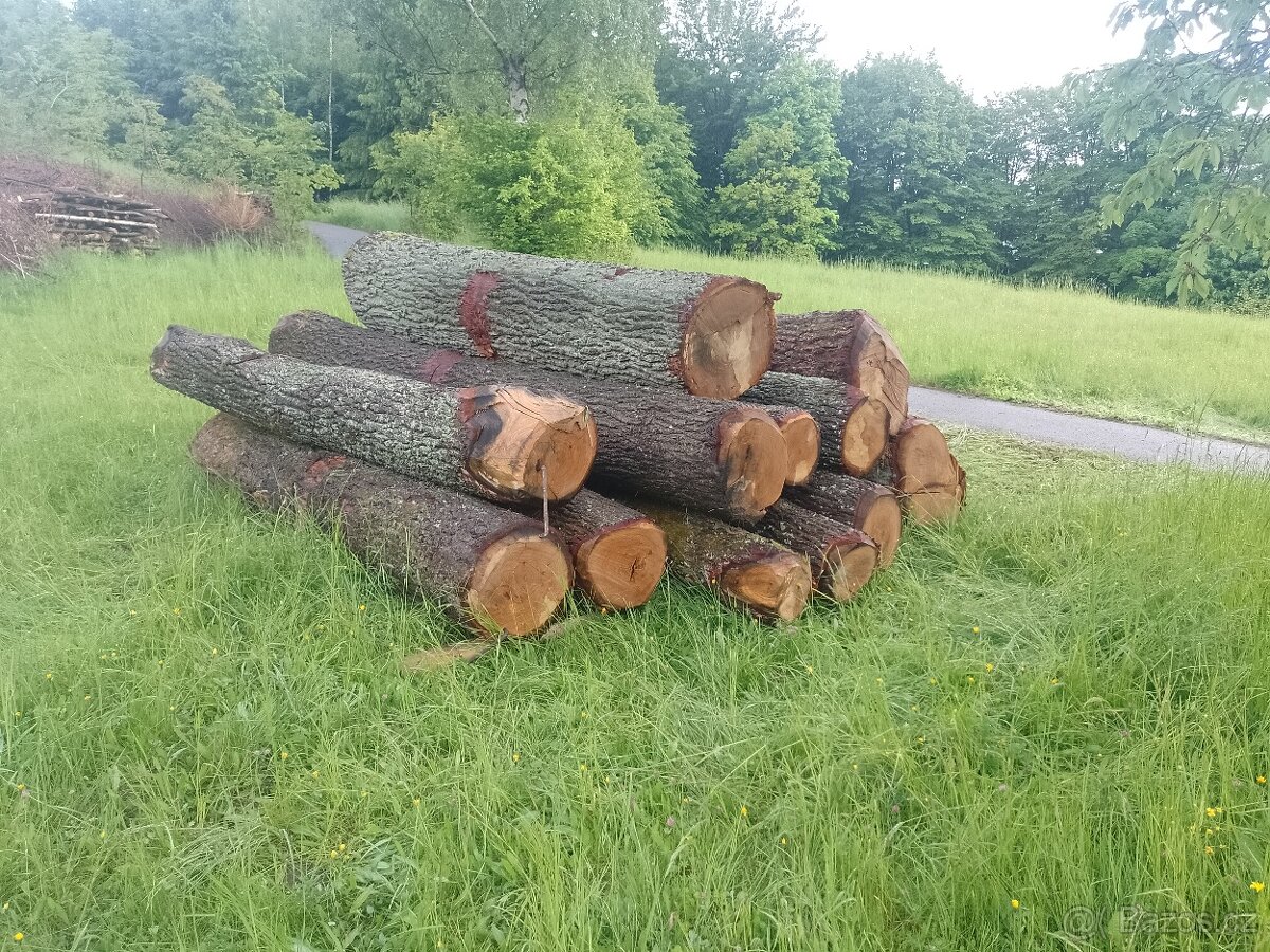 Dubové kulatina