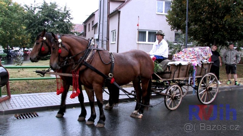 bryčka