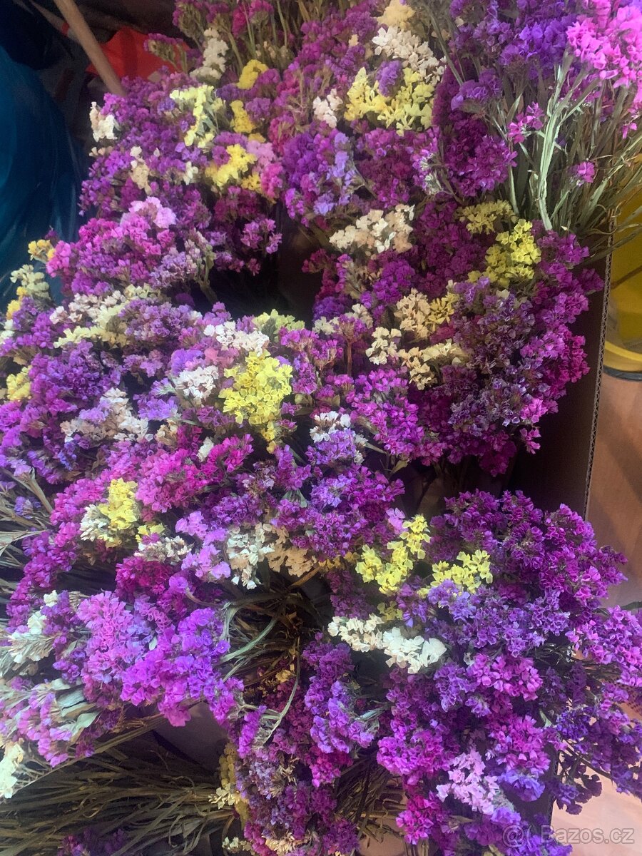 Prodám sušené kytky