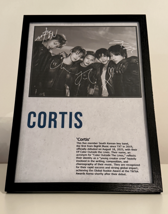CORTIS - Obraz v rámu v ceně - AKCE