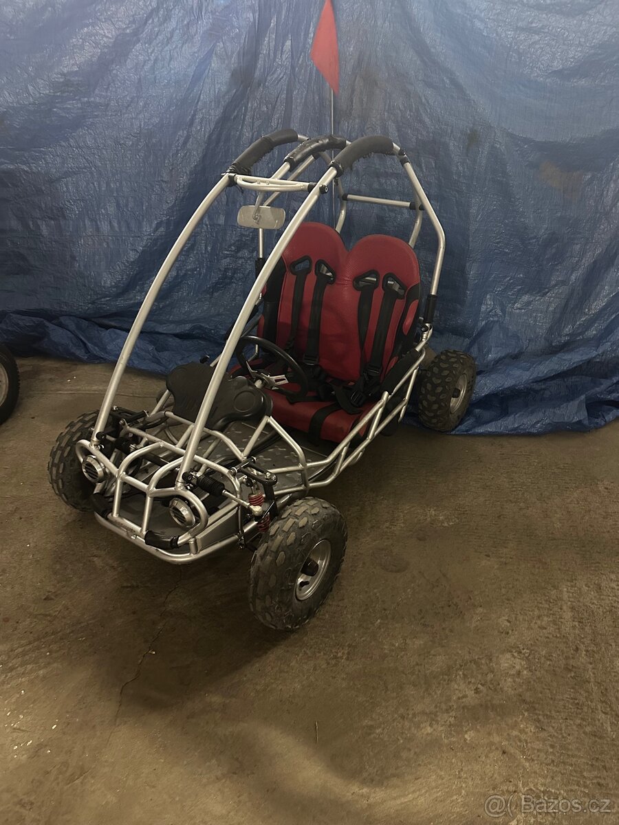 dětská buggyna do 50kg