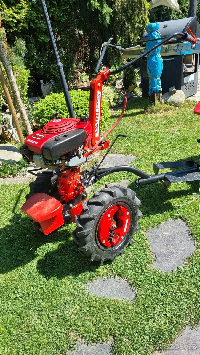 Vari