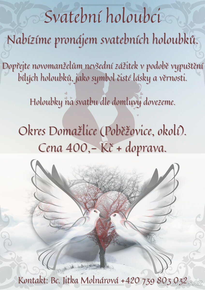 Svatební holoubci, okres Domažlice