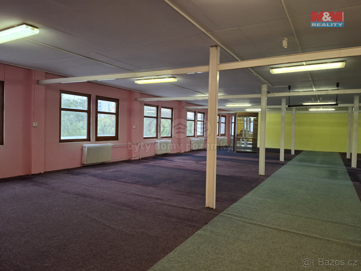 Pronájem obchod a služby, 260 m², Chomutov, ul. Alfonse Much