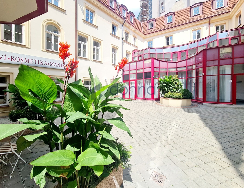 Pronájem obchodního prostoru 424 m² Myslíkova, Praha 1 - Nov