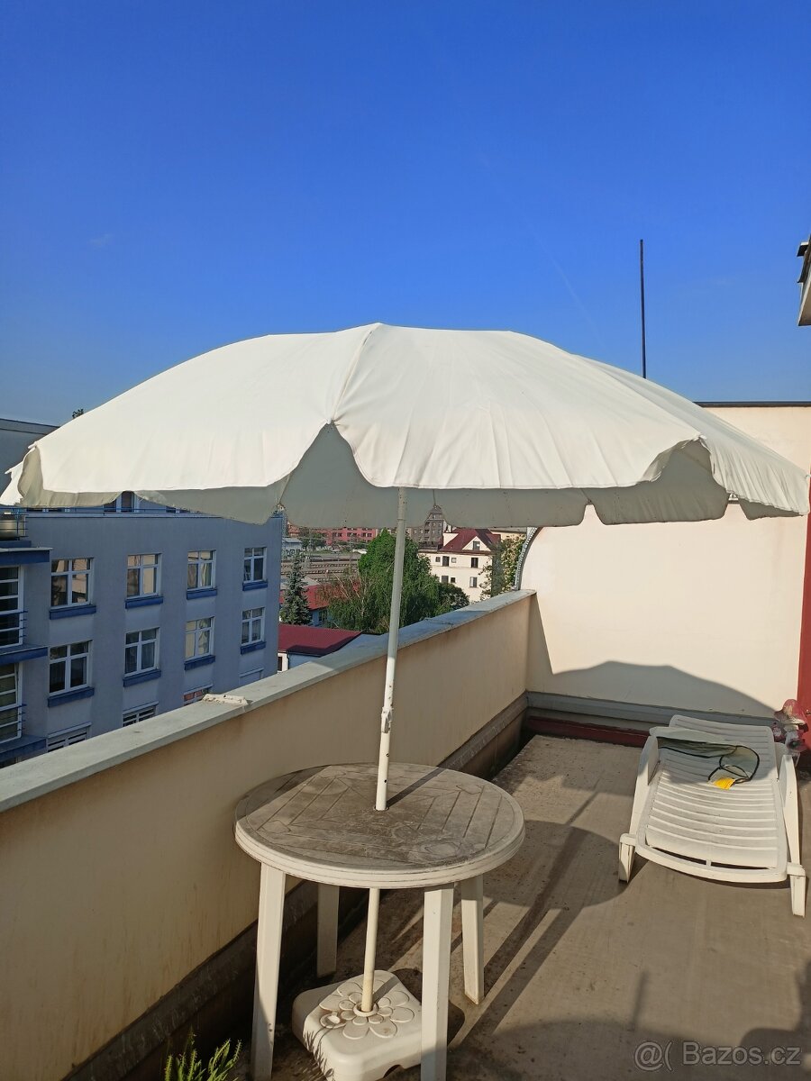 Slunečník
