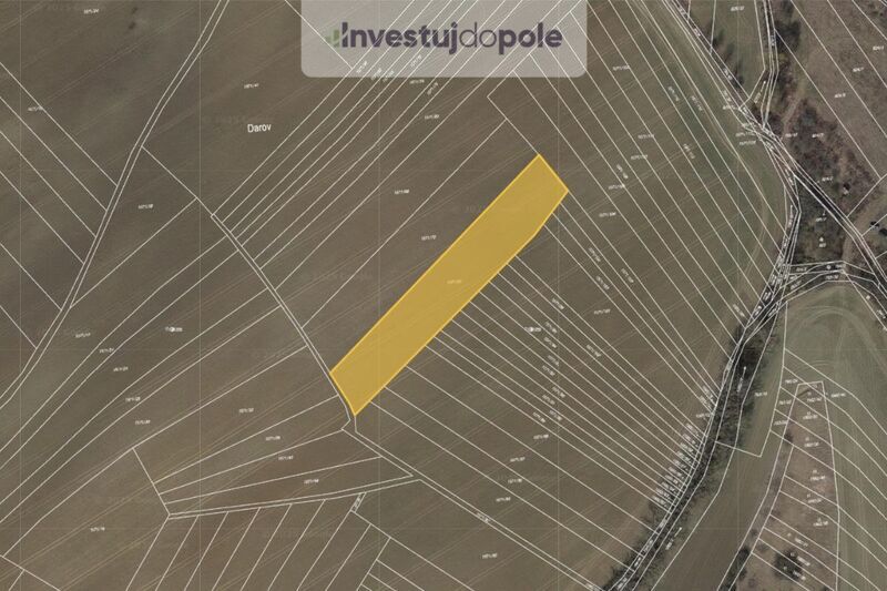 Prodej pole v k.ú. Bohuslavice u Kyjova