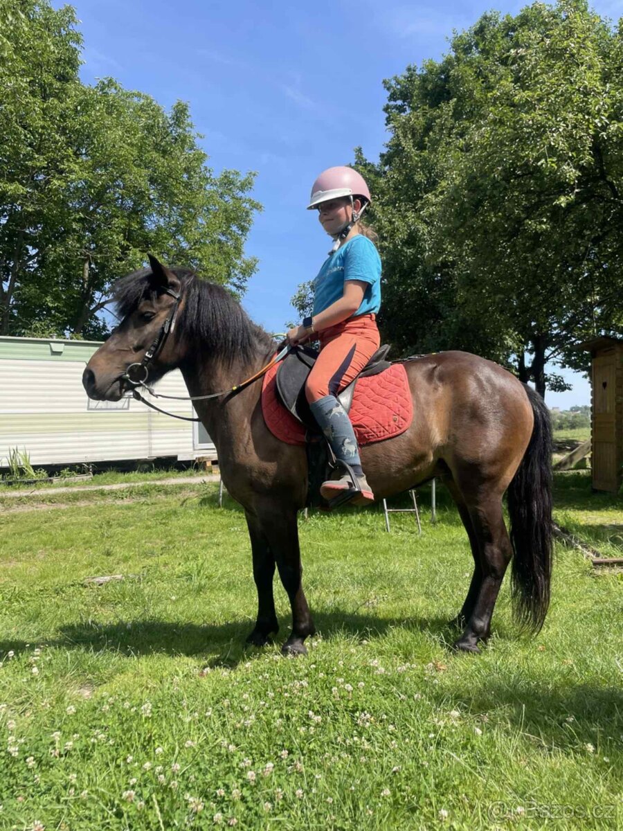 Pony kobylka