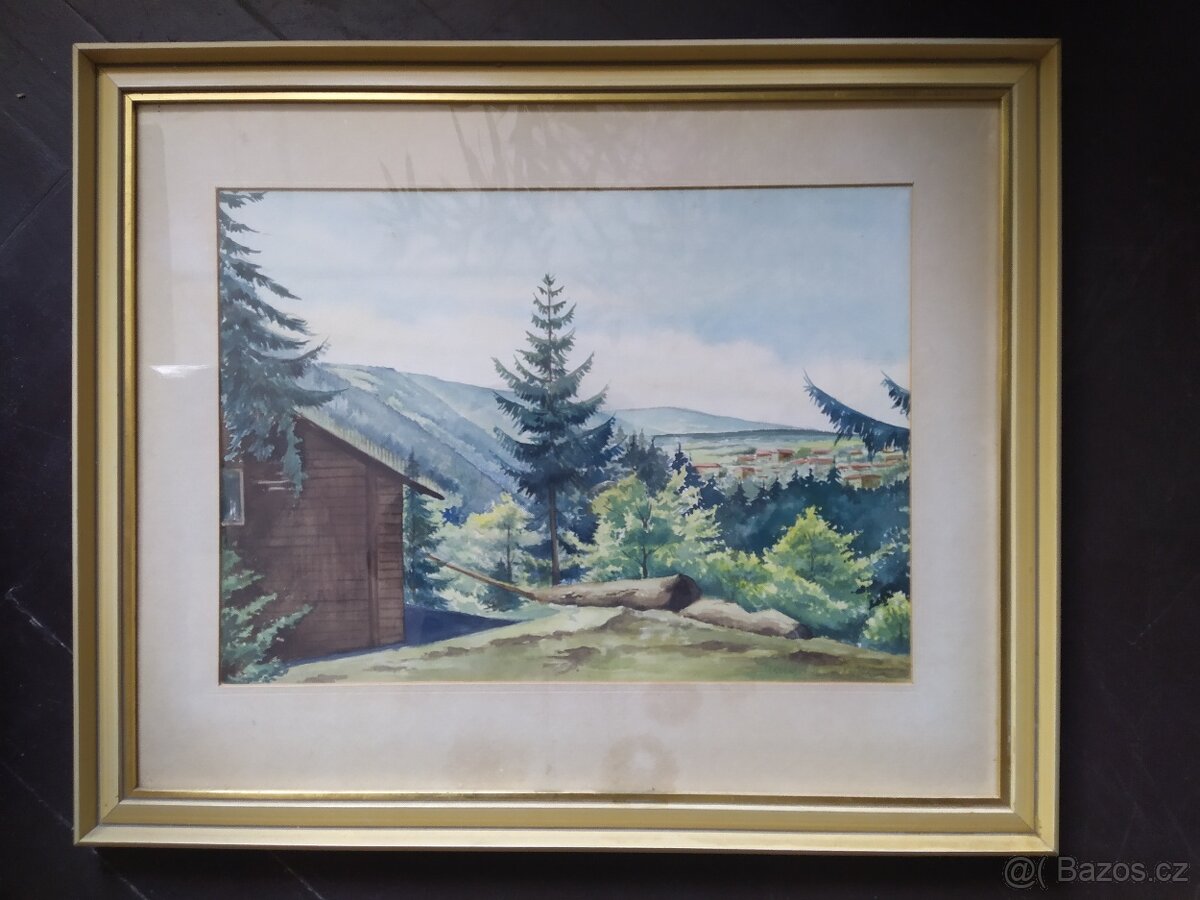 Obraz Akvarelová malba 55×45cm. signová