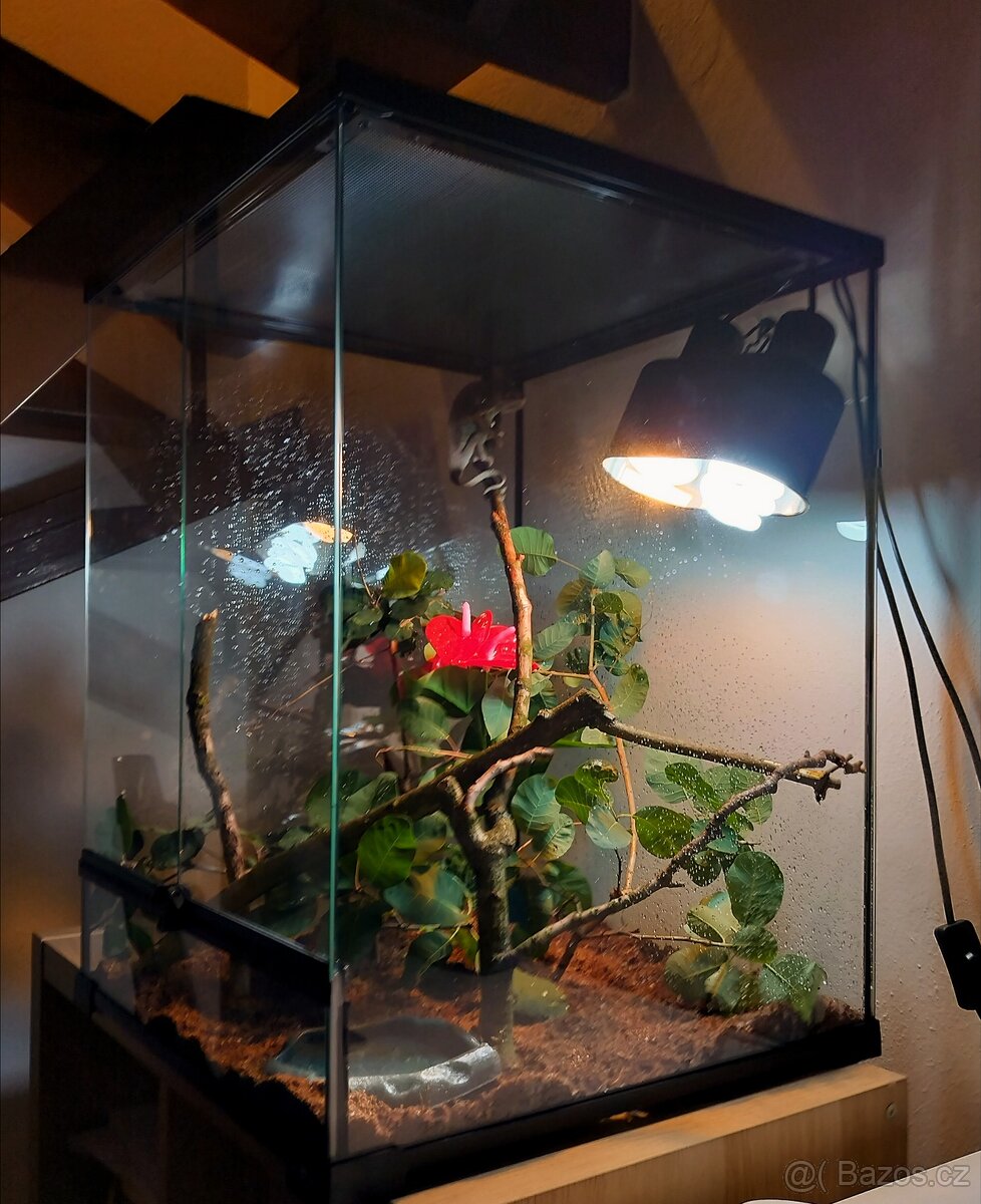 Terárium + 3D stěna