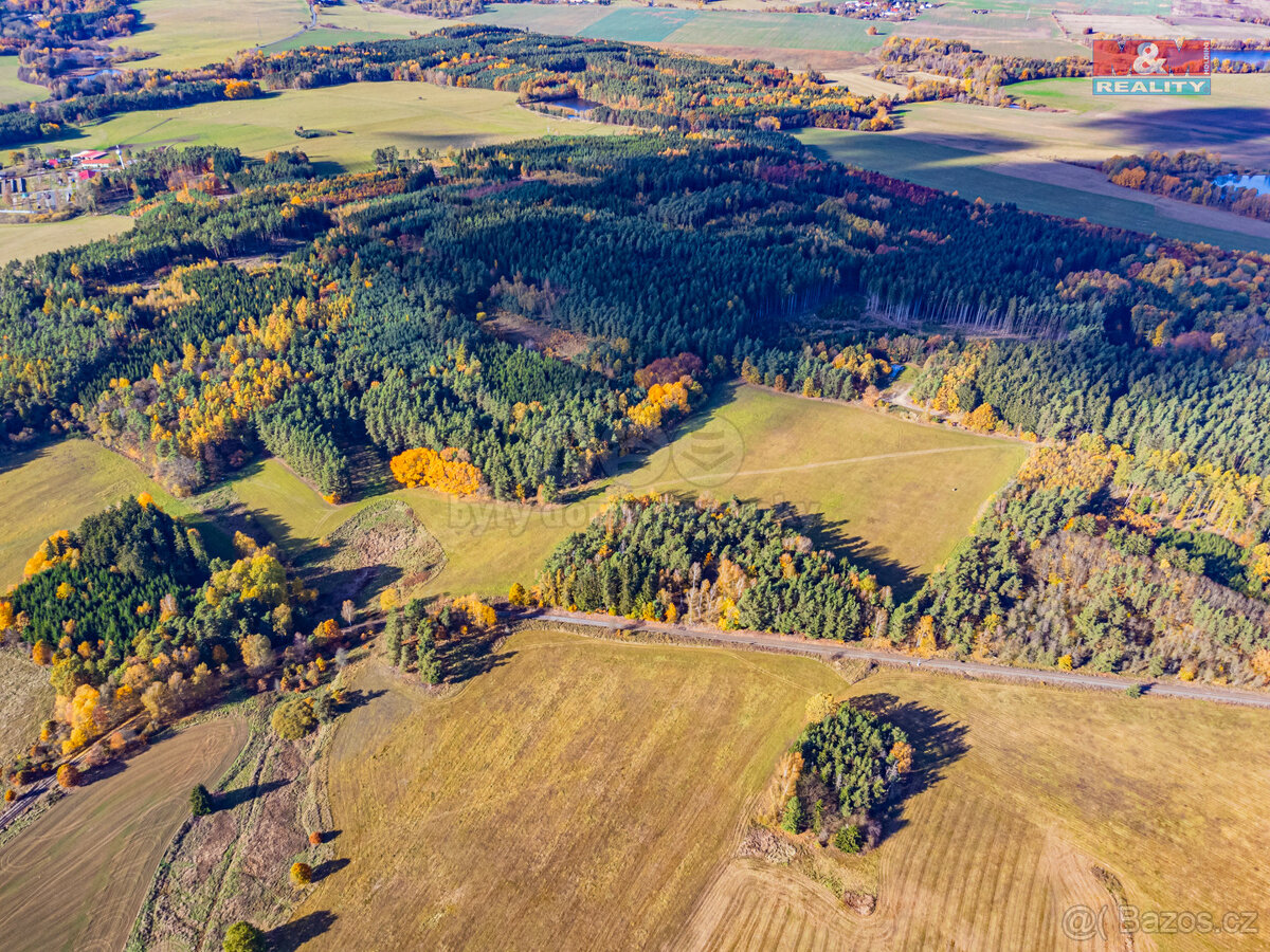 Prodej zemědělského pozemku 44621m2, Stráž u Tachova