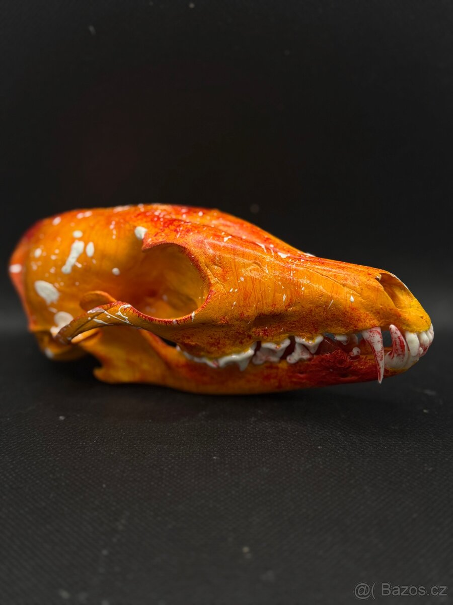 Lebka, dekorace, pohanství,