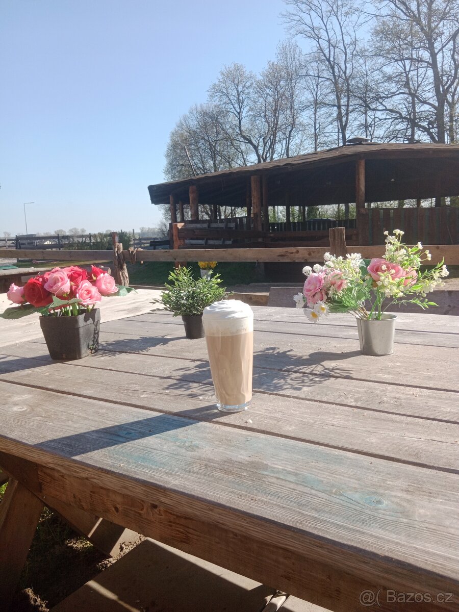 Pastevní ustájení u Pardubic