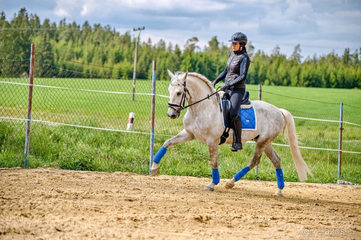 P.R.E. Hřebec na prodej