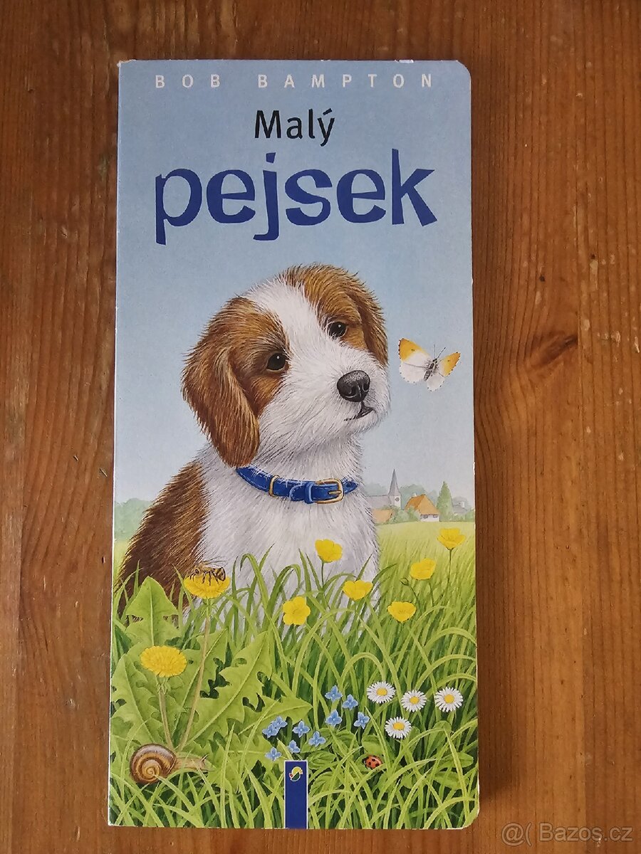 Malý pejsek