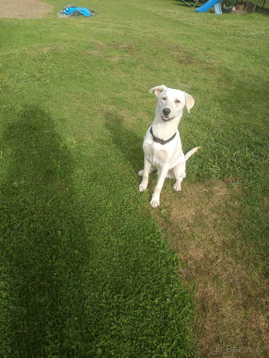 Daruji do drobných rukou