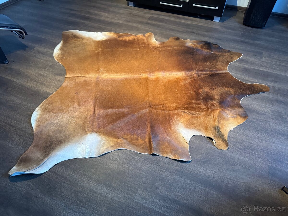 koberec z hovězí kůže